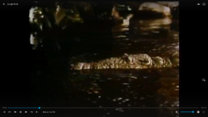 Jellyfin oynatma ekranı - video player kontrolları