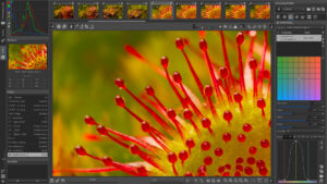 RawTherapee renk düzenleme ve detay geliştirme ekranı