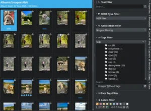digiKam albüm görünümü ve filtreler