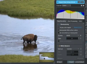 digiKam RAW içe aktarma aracı