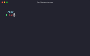 Starship terminal prompt renkli ve bilgilendirici görünümü