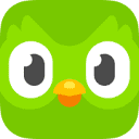 Duolingo Desktop logosu