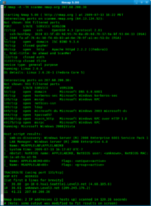 Nmap örnek tarama ekran görüntüsü