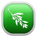 Olive Video Editor logosu