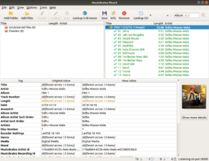 MusicBrainz Picard ana arayüzü Windows - müzik etiket düzenleme