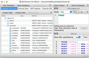 DB Browser for SQLite ana arayüz ekran görüntüsü