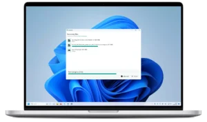 LocalSend Windows masaüstü arayüzü