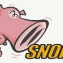 Snort logosu