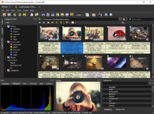 XnView MP Windows arayüzü - fotoğraf görüntüleyici